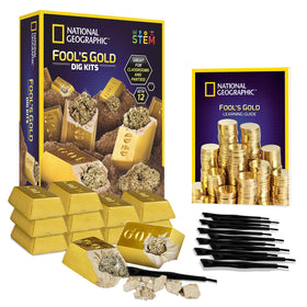 Blue Marble Fool’s Gold Dig Kit bar bricks reveal pyrite specimens for hands-on learning.
