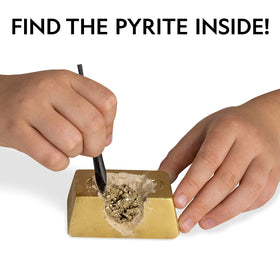 Blue Marble pyrite specimens inside bricks for tactile discovery and science curiosity.