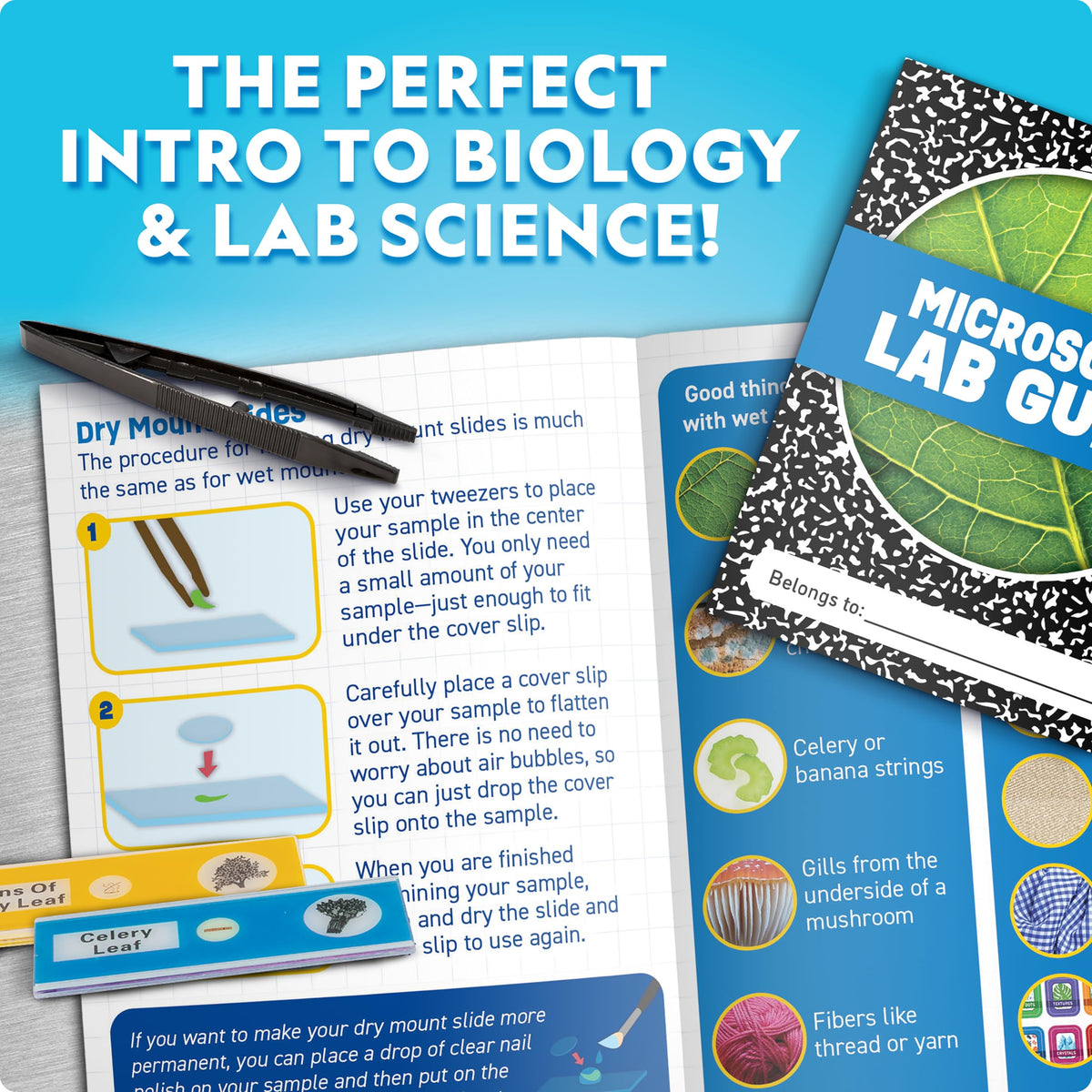 Blue Marble blank slides enable custom observations and experiments