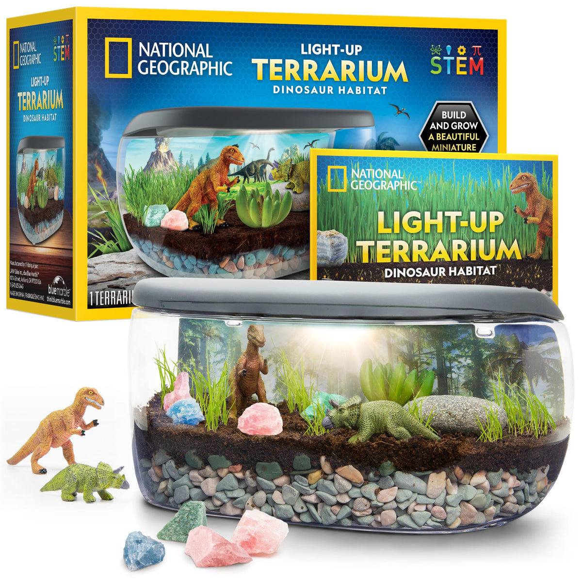 Blue Marble Nat Geo light up terrarium kit reveals a dinosaur habitat with real plants for hands-on learning.