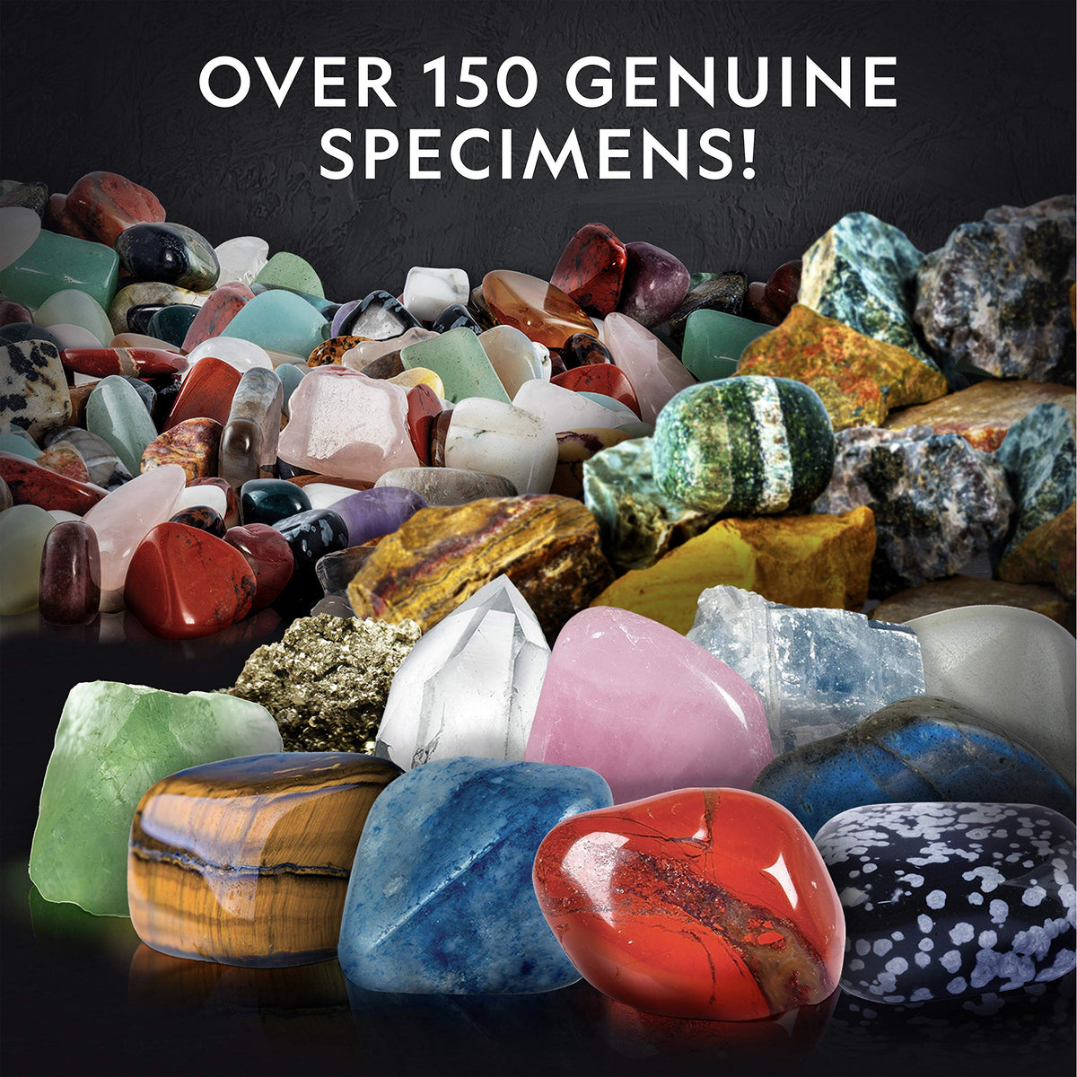 Blue Marble 25 rock specimens for tactile exploration and collection.
