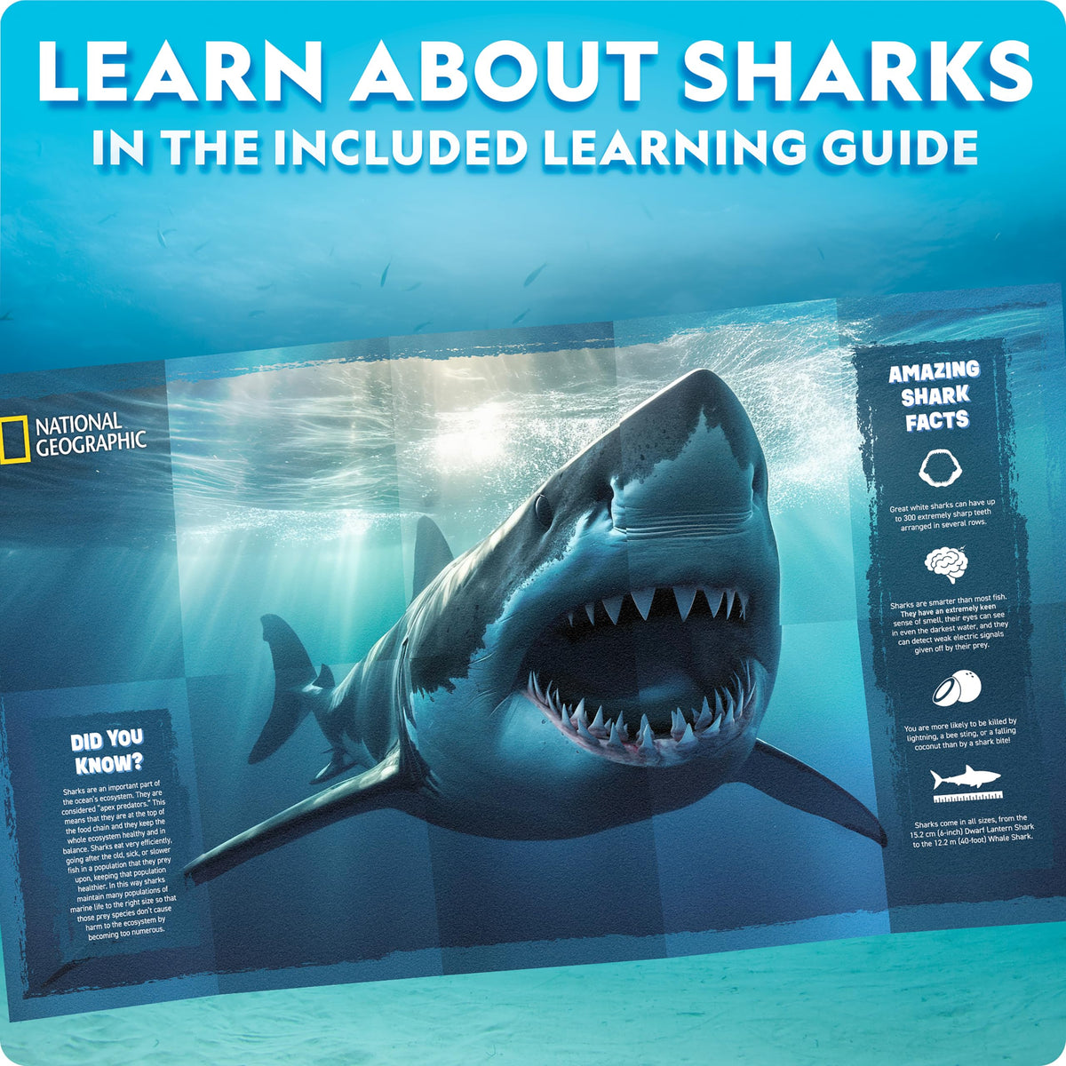 Blue Marble step-by-step instructions guide an enjoyable build experience