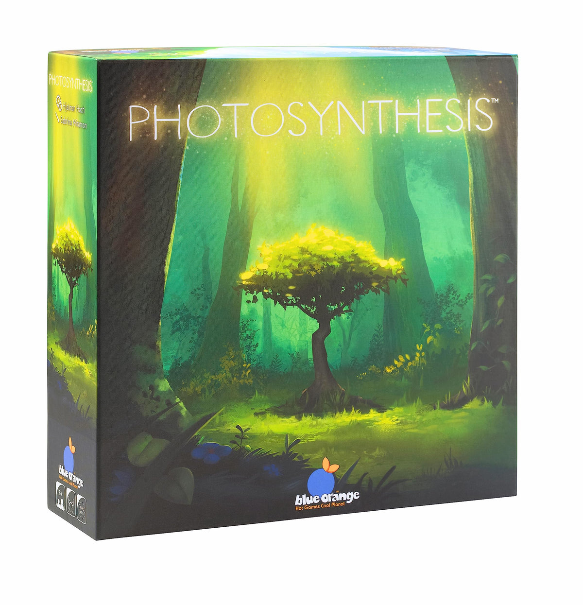 Blue Orange Photosynthesis game setup showing board and components for quick family play