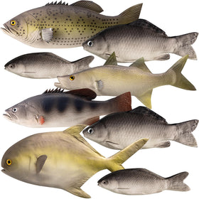 Blueweenly fake fish assortment for realistic ocean scenes in photography.