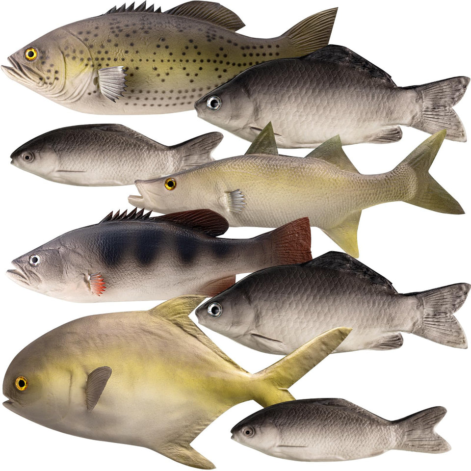 Blueweenly fake fish assortment for realistic ocean scenes in photography.