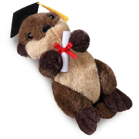 Blueweenly graduation sea otter wearing cap and diploma for a festive keepsake.