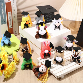 Blueweenly grad plush bear pack, versatile for rewards and prizes.