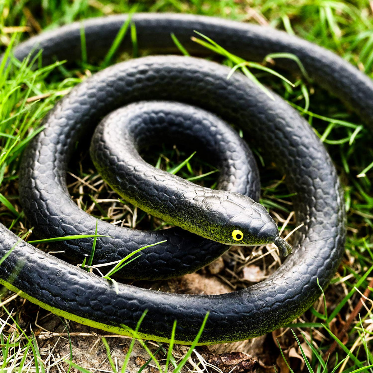 Blulu snakes on grass decoration for garden ambiance.