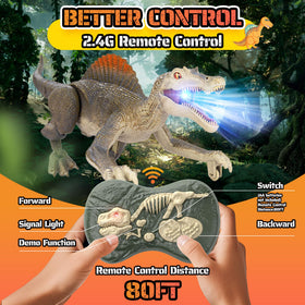 Bokigibi dinosaur toy 2.4GHz RC provides stable control.