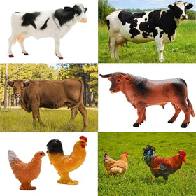 BOLZRA gift pack ideal for holidays or birthdays for kids 3–12.