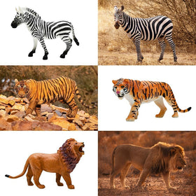 Bolzra Safari zebra figure boosts color-based pretend games