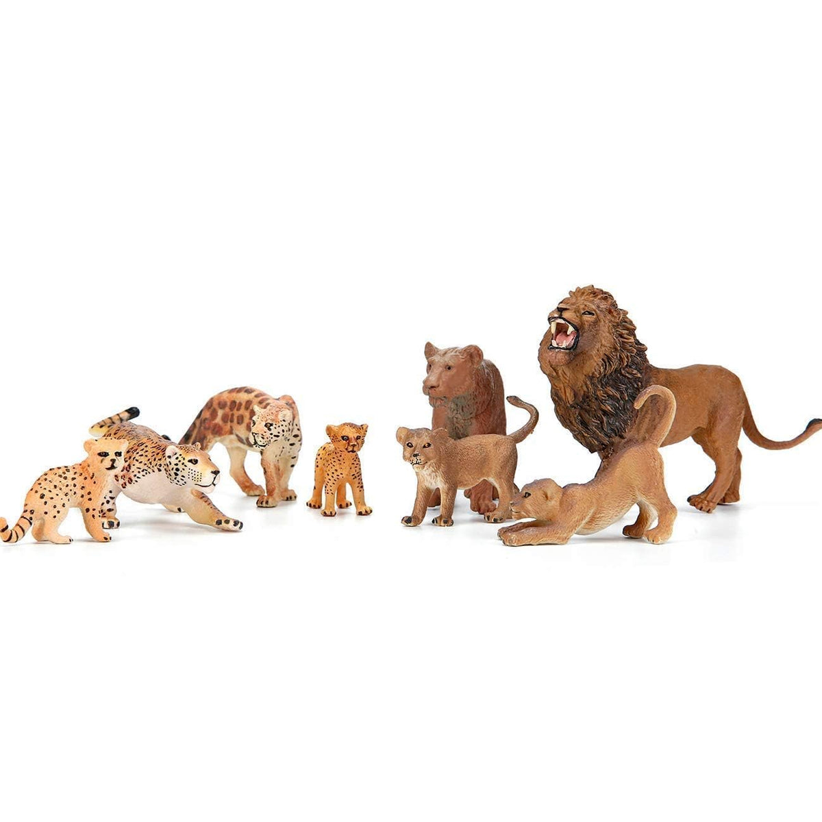 BOLZRA baby zebra figure for gentle, curious learning