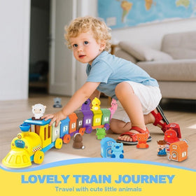 BOLZRA Montessori-inspired learning toy supports early numeracy and matching