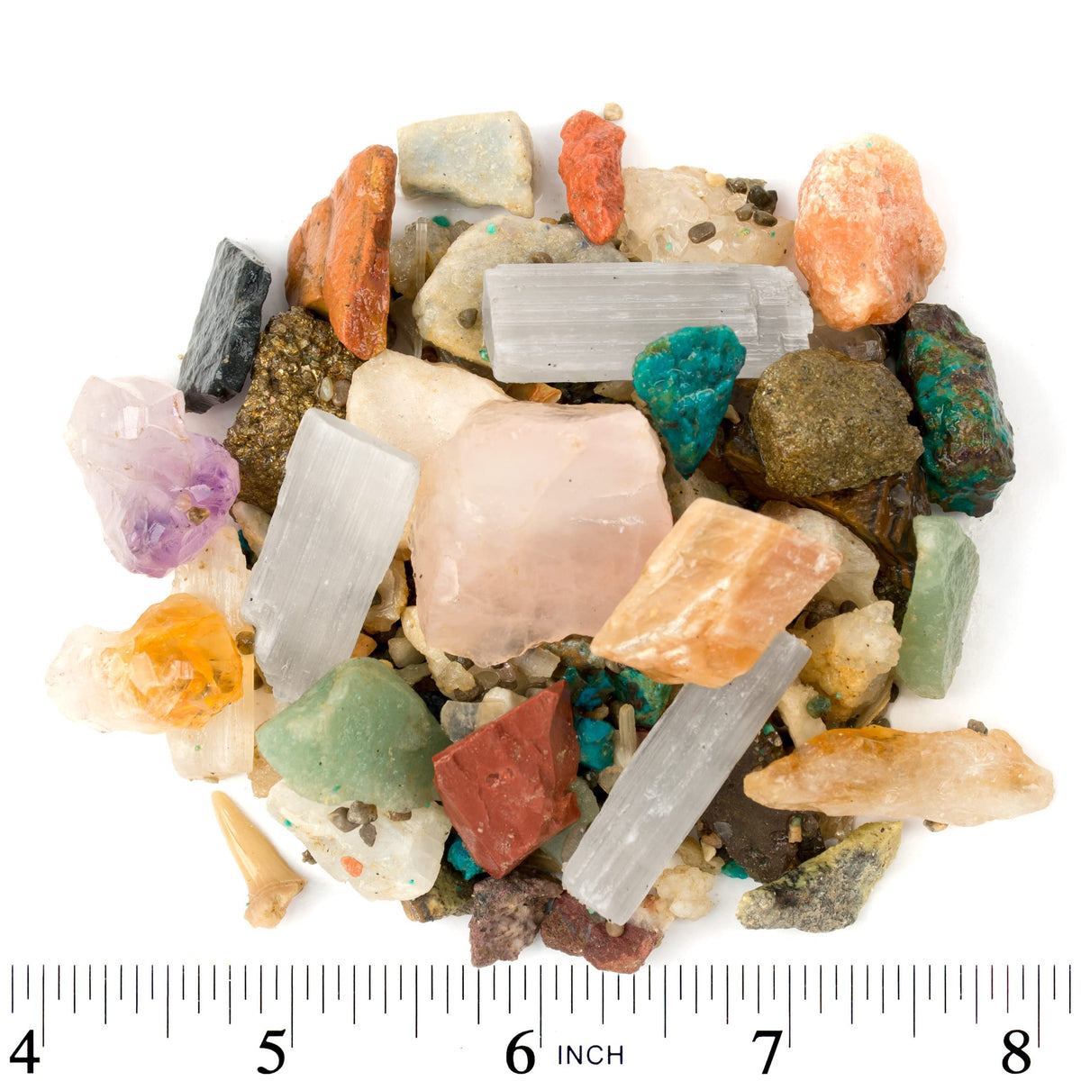 Color guides support beginner gemstone and fossil identification during play