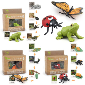 BOTICAKO ladybug life cycle figure with cards for early learning