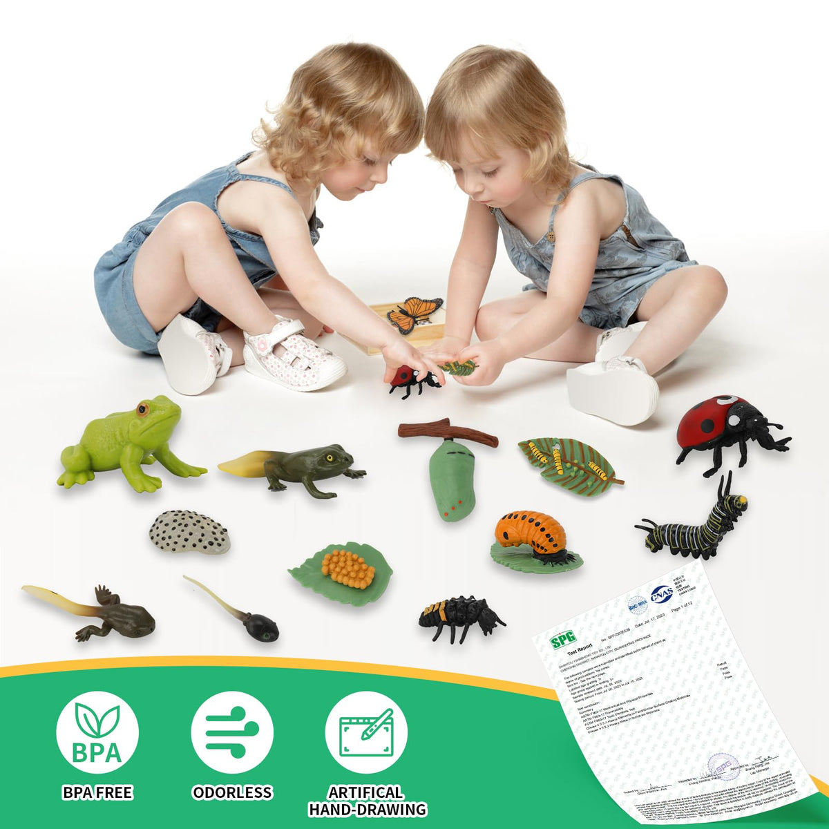 BOTICAKO monarch butterfly life cycle kit for hands-on science exploration