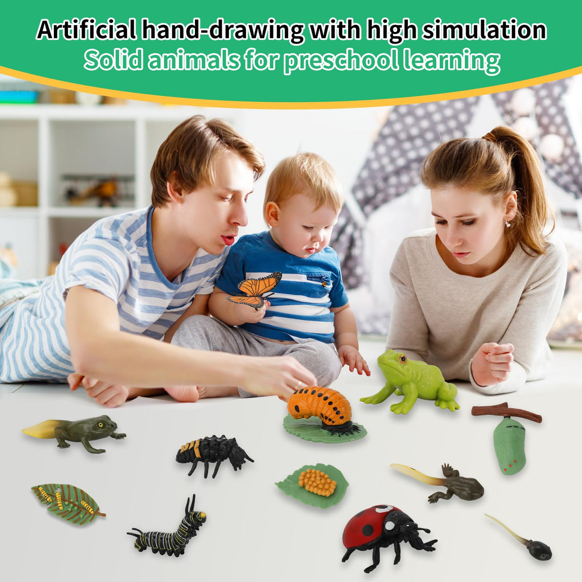 BOTICAKO tadpole-to-frog kit highlighting growth stages for storytelling
