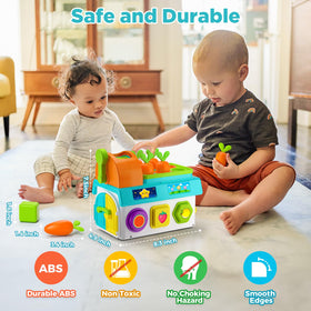BQU Learning Toy music and lights engage attention with cheerful cues.