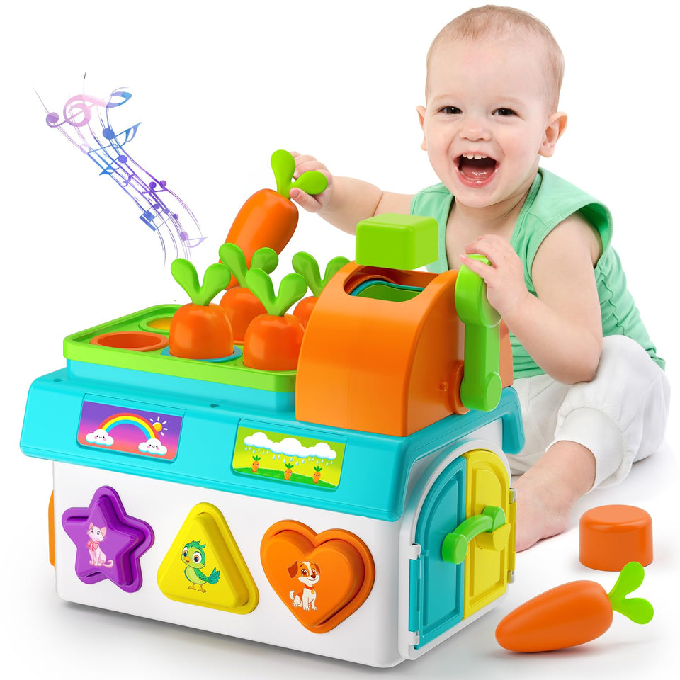 BQU Learning Toy shape sorter helps toddlers develop fine motor skills through sorting.