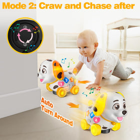 BQU puppy toy featuring 7 colorful buttons with English and Spanish modes