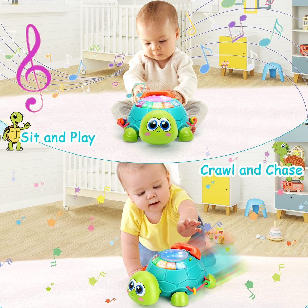 BQU Musical Turtle toy with hand drum for tactile rhythm practice