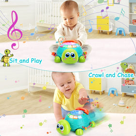 BQU Musical Turtle toy with hand drum for tactile rhythm practice
