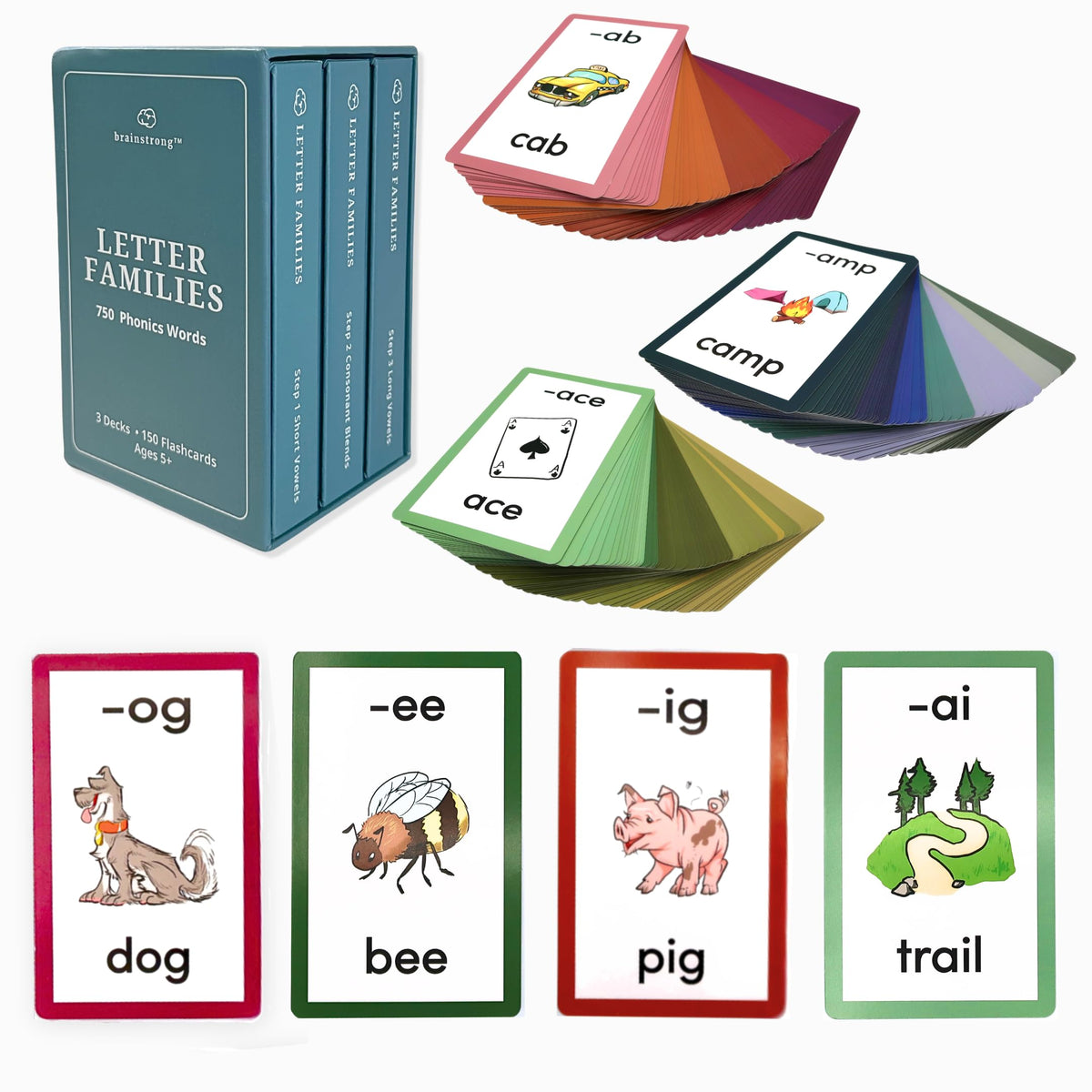 Brainstrong 750 phonics words Step 1 card builds foundational reading skills for beginners.