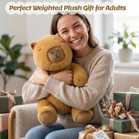 BRICHOEE Capybara weighted plush vacuum-sealed packaging before unboxing.