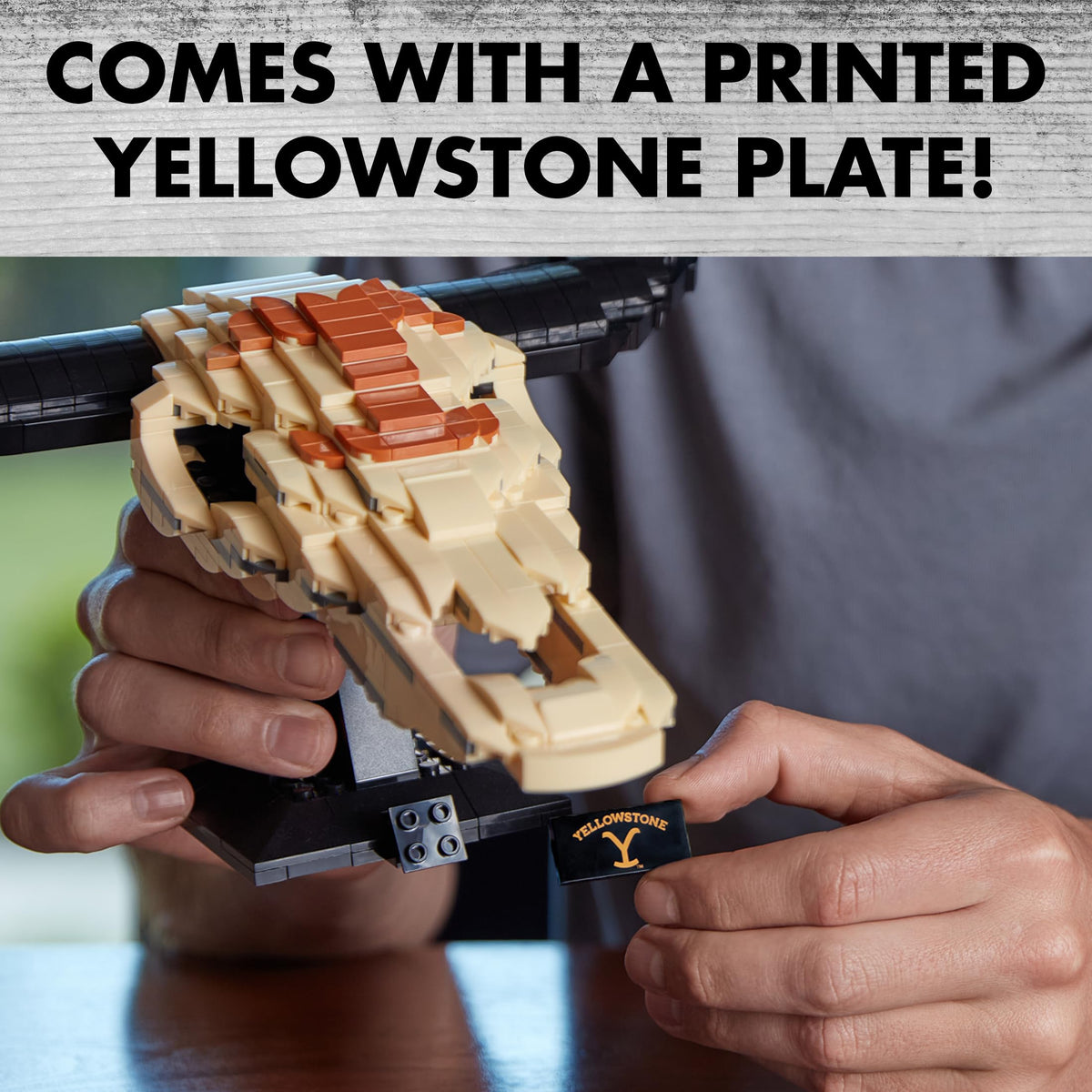Brickcraft Yellowstone skull tabletop display demonstrates sturdy setup.