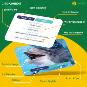 Briston Spanish flash cards pronunciations guide helps accurate spoken Spanish.