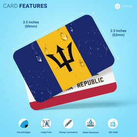 Briston US States Flags flash cards map view for classroom use.