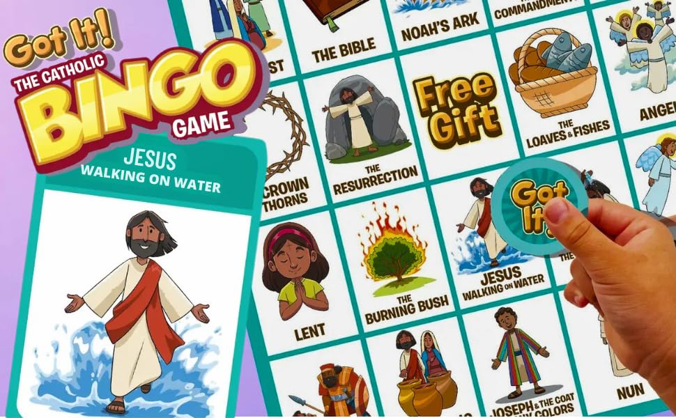 Brother Francis Got It! Deluxe boxed set with chips for organized setup