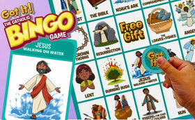 Brother Francis Got It! Deluxe boxed set with chips for organized setup