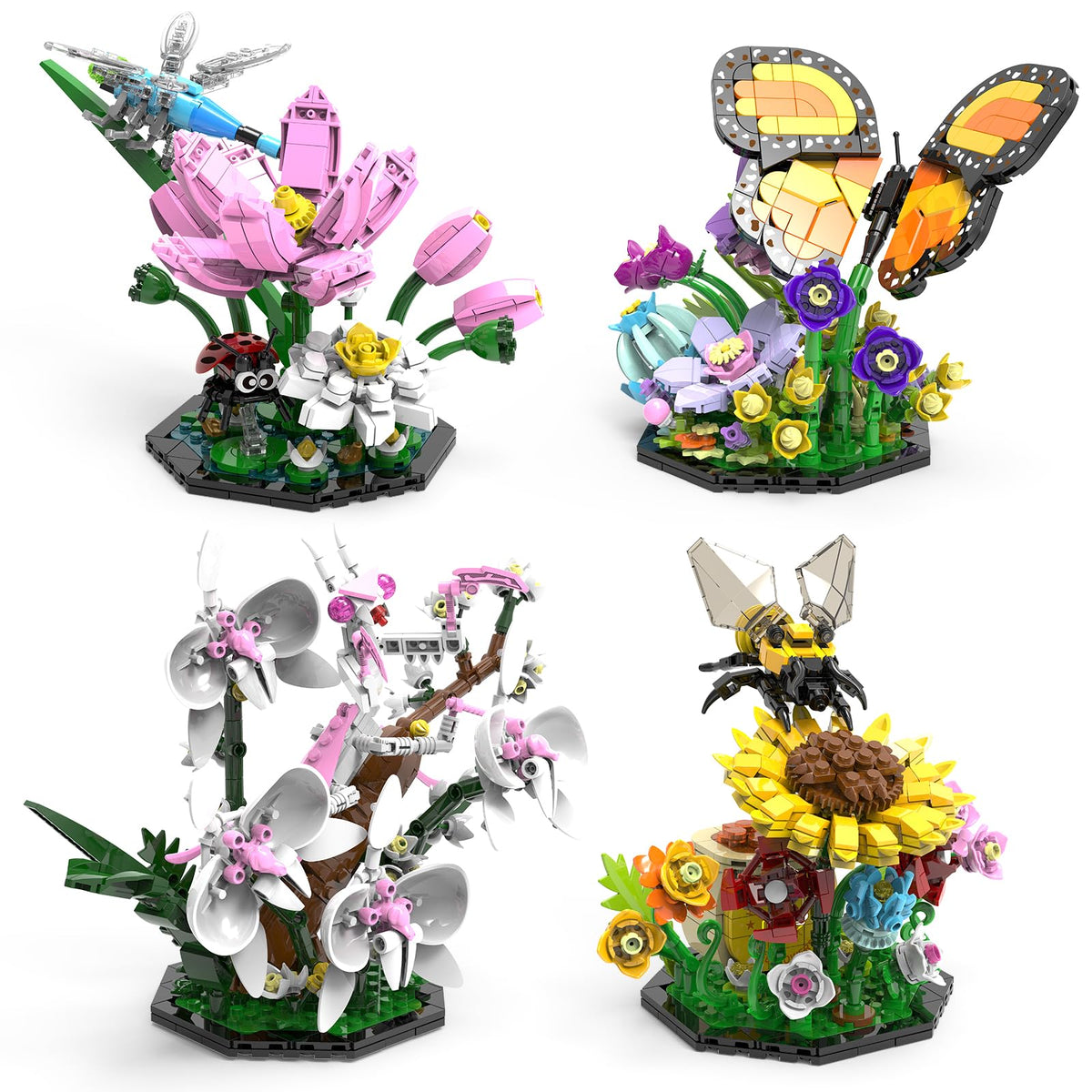BseSparklion butterfly display highlighting vibrant colors for curious kids.