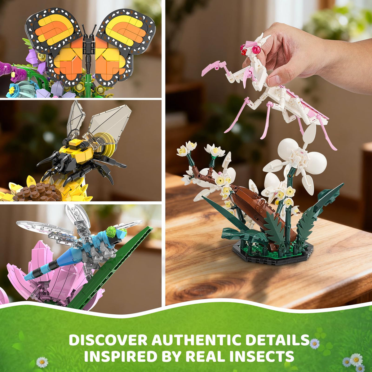 BseSparklion dragonfly display supports hands-on building and natural curiosity.