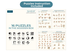 BSIRI gift set of brain teasers offers family-friendly challenges
