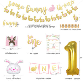 BSMIEFUS Some Bunny is One monthly banner highlights baby's first year milestones