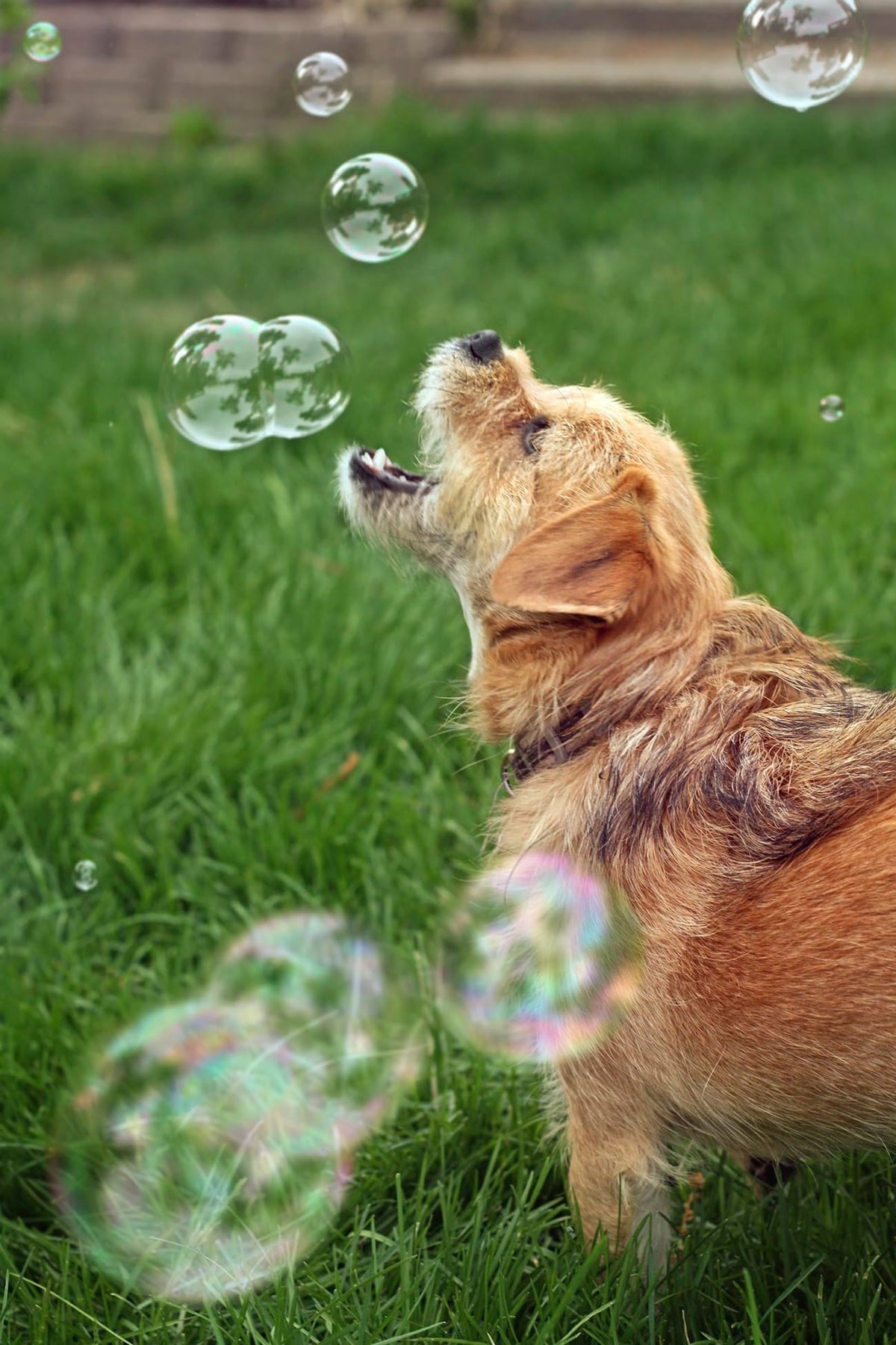 Compact Bubbletastic device sits on a coffee table for simple usage.