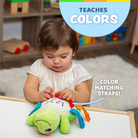 Buckle Toys Belle Turtle decorated-numbers counting-practice promotes problem-solving through interactive play
