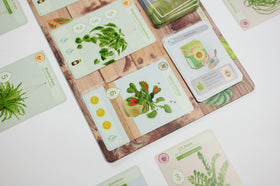 Buffalo Games Planted compact box is ideal for quick family play sessions.