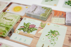 Buffalo Games Planted supports 2 to 5 players for engaging rounds.