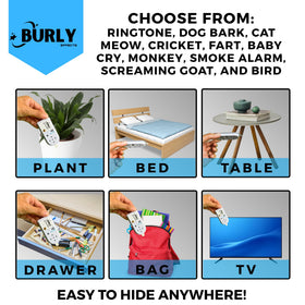 Burly Effects Hidden Noise Maker adhesive backing enables hidden placement for surprising pranks.