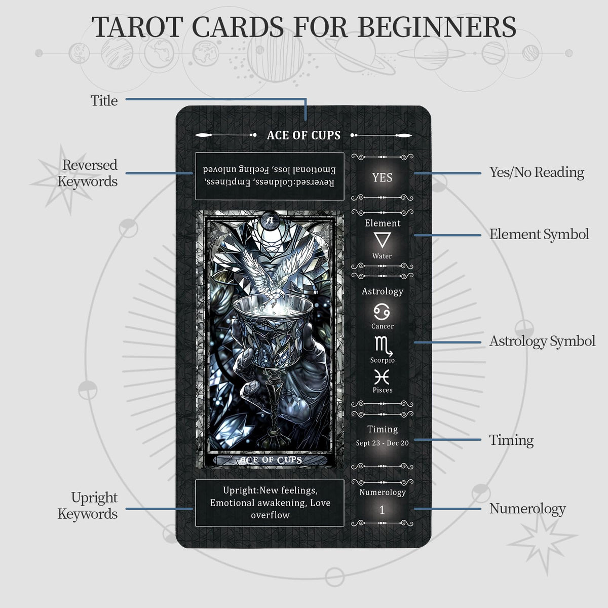 BWTY guide book and deck inside for full meanings and spreads