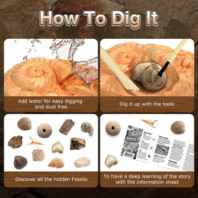 Byncceh Gamerside educational discovery kit supports solo and group learning.