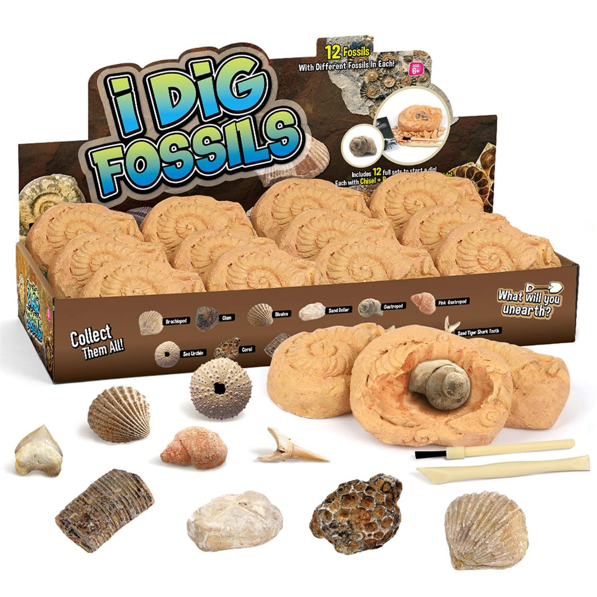 Byncceh Gamerside fossil dig kit cover for engaging, hands-on exploration.