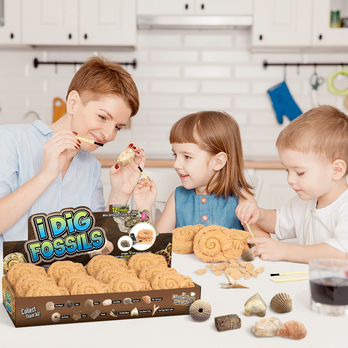 Byncceh Gamerside fossil dig kit tools with chisel and brush aid careful excavations.