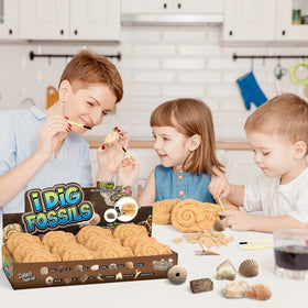Byncceh Gamerside fossil dig kit tools with chisel and brush aid careful excavations.