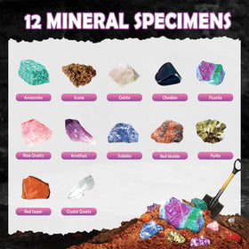Byncceh Gamerside kid-friendly tools ensure safe, easy dig experiences.
