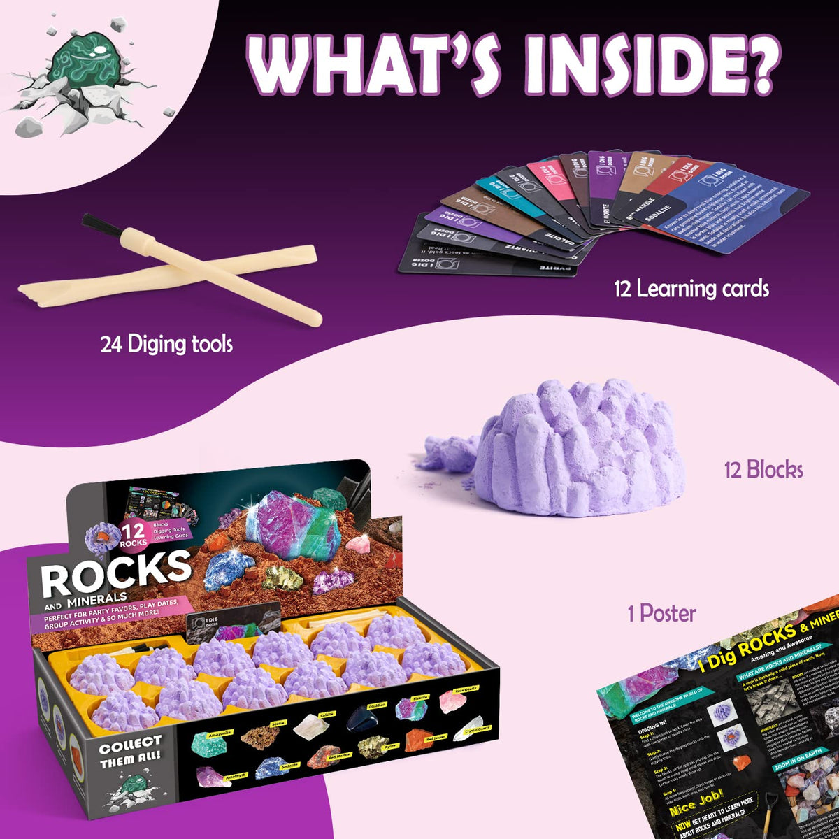 Byncceh Gamerside learning guide cards enrich exploration with kid-friendly facts.