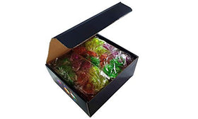 C&H Solutions blinking jelly rings brighten photos and memories.